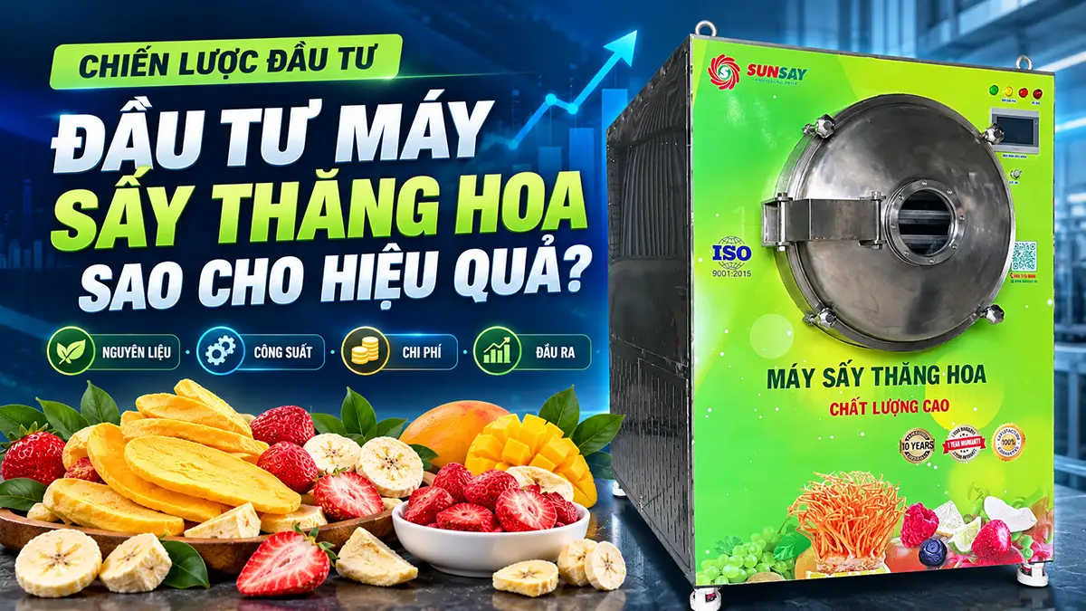 Cách xây dựng phương án đầu tư máy sấy thăng hoa theo 3 kịch bản doanh thu